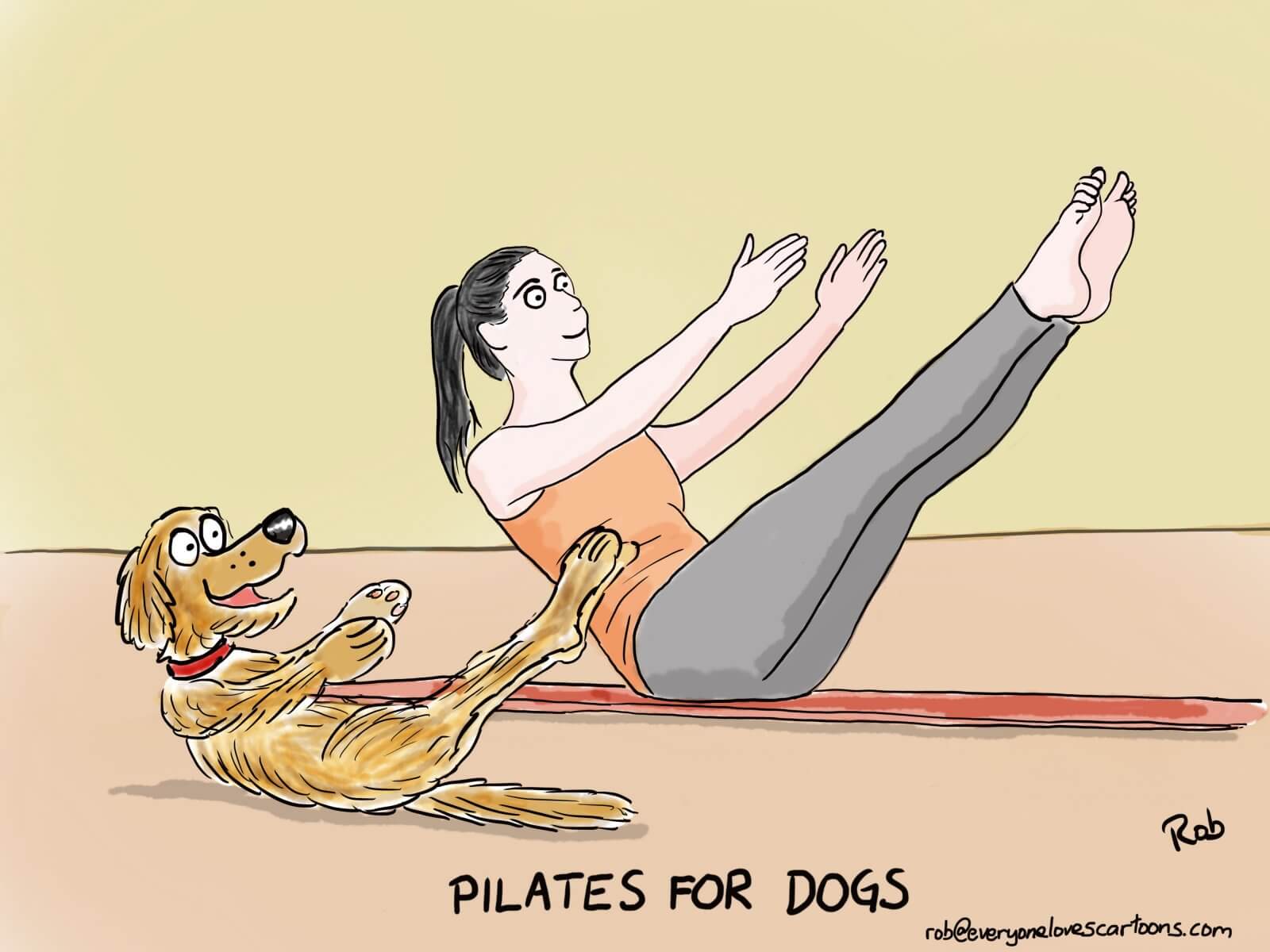 pilates cartoon - dog - Organic Pilates and Holistic Health