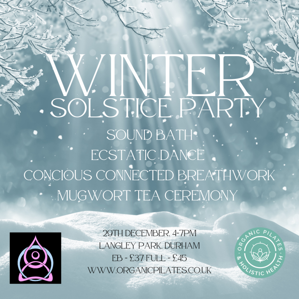 Winter Solstice Party
