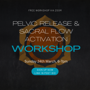 Pelvic Releaser and Sacral Flow Workshop